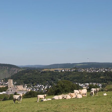 Ferienwohnung Auf Der Moselhoehe - Naehe Koblenz Und Cochem Dieblich Eksteriør billede