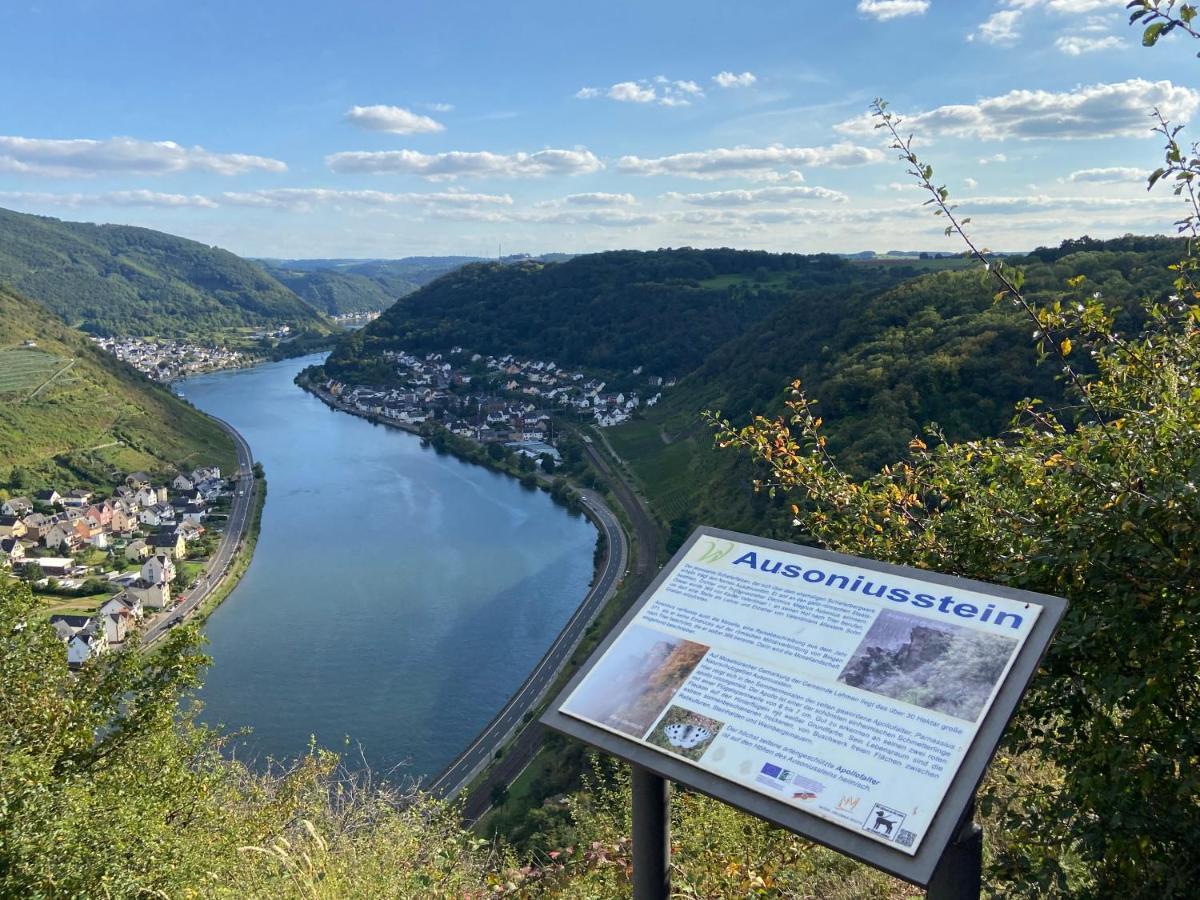 Ferienwohnung Auf Der Moselhoehe - Naehe Koblenz Und Cochem Dieblich Eksteriør billede
