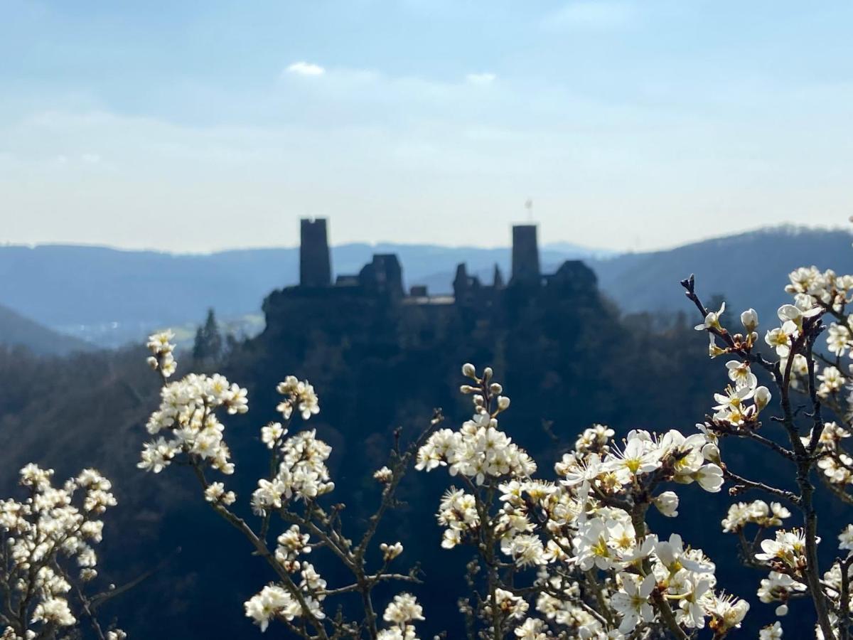 Ferienwohnung Auf Der Moselhoehe - Naehe Koblenz Und Cochem Dieblich Eksteriør billede