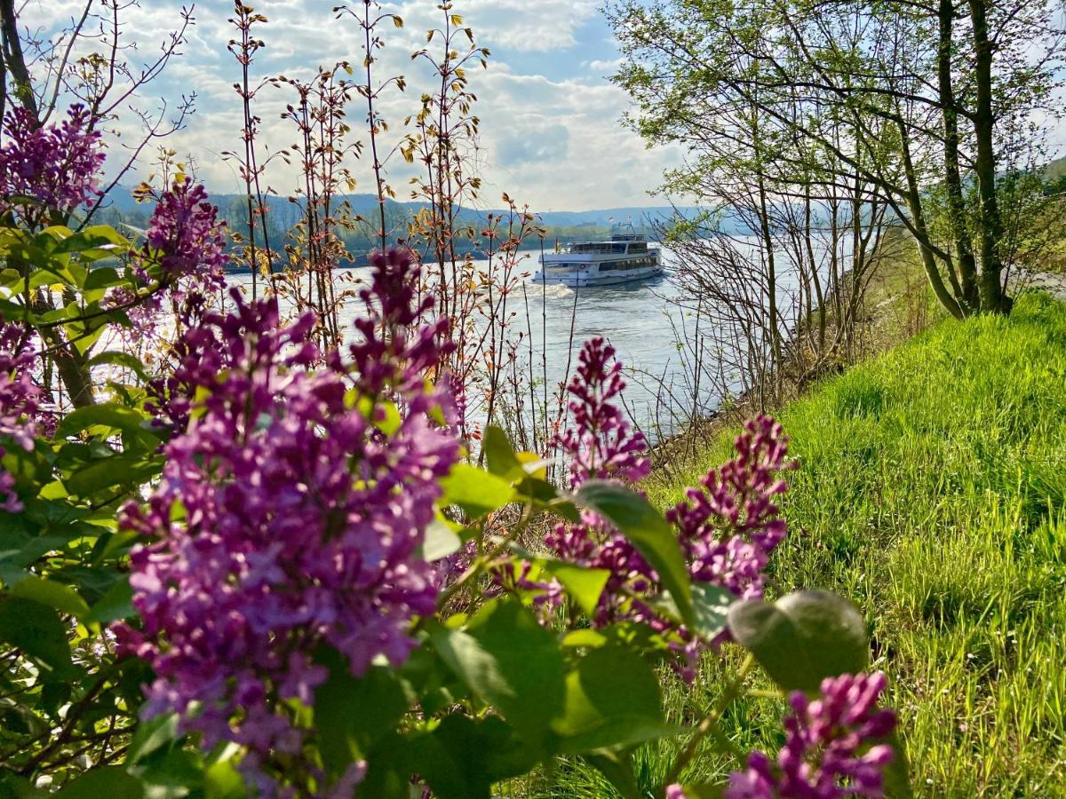 Ferienwohnung Auf Der Moselhoehe - Naehe Koblenz Und Cochem Dieblich Eksteriør billede