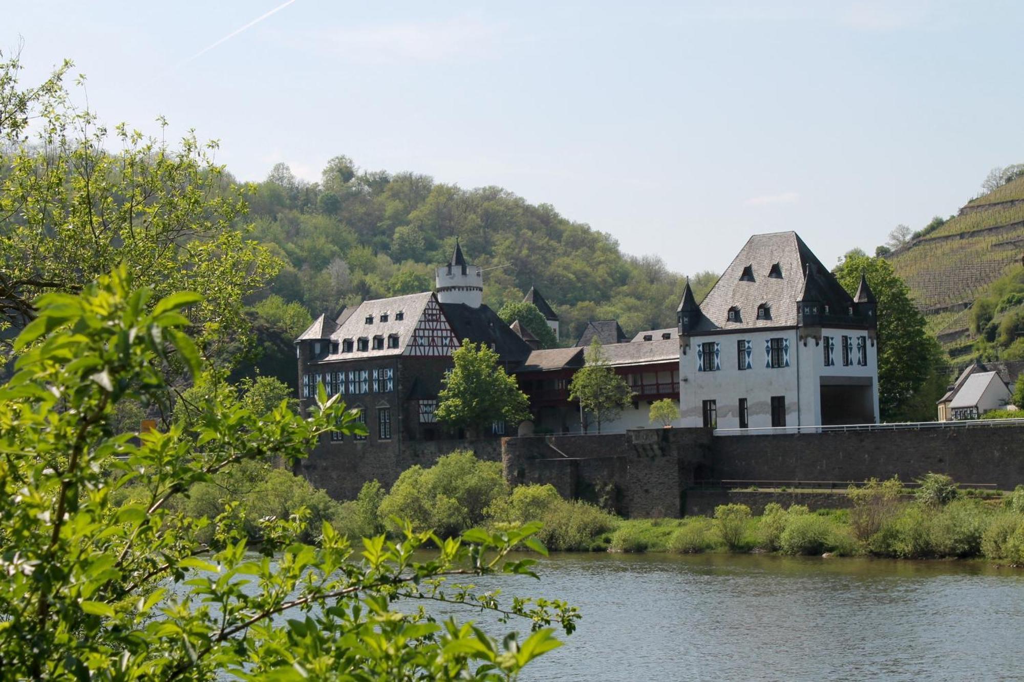 Ferienwohnung Auf Der Moselhoehe - Naehe Koblenz Und Cochem Dieblich Eksteriør billede