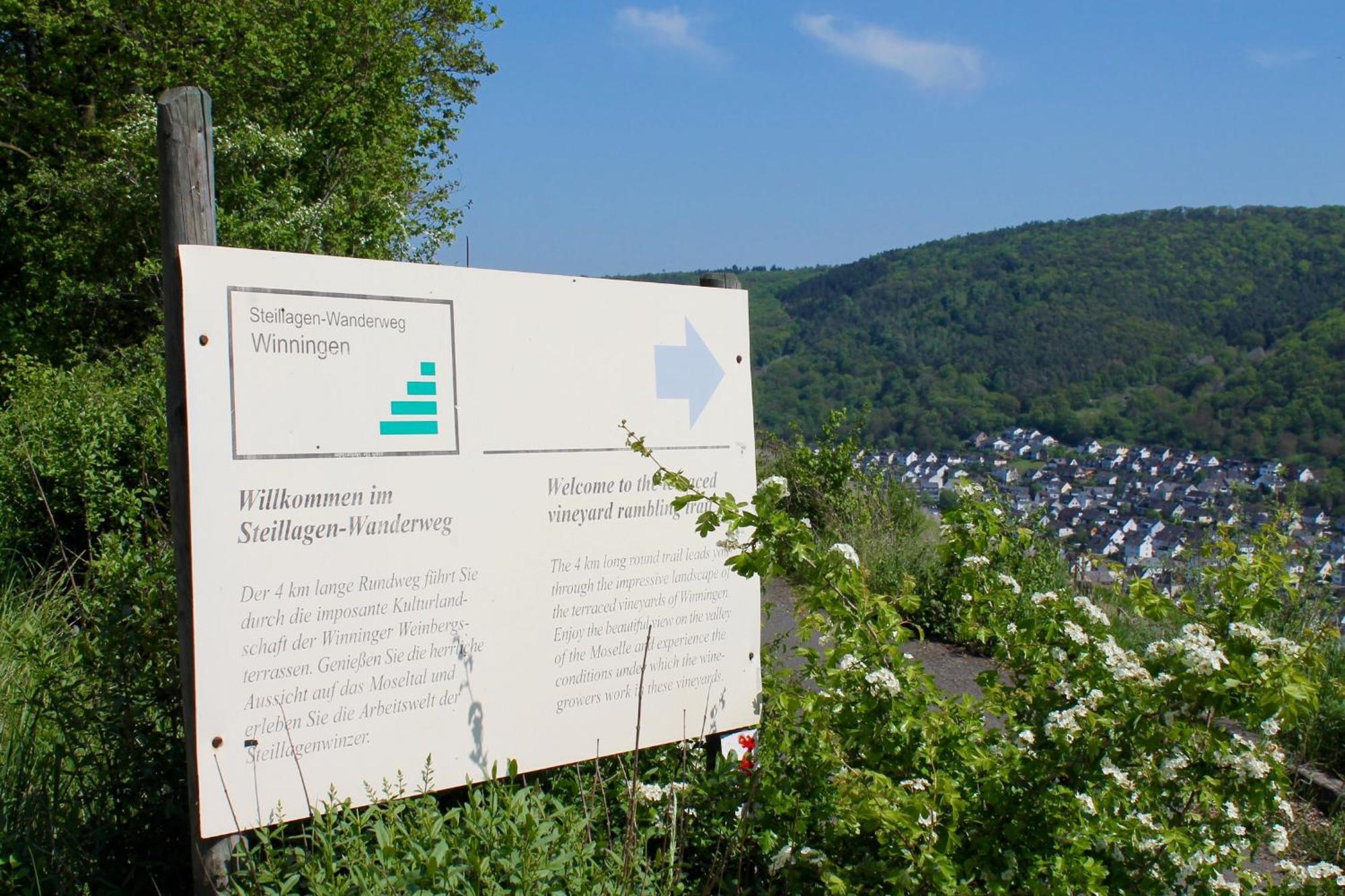 Ferienwohnung Auf Der Moselhoehe - Naehe Koblenz Und Cochem Dieblich Eksteriør billede
