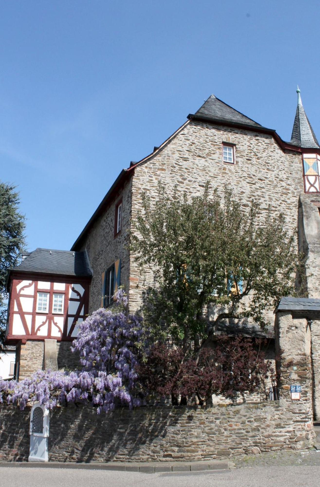 Ferienwohnung Auf Der Moselhoehe - Naehe Koblenz Und Cochem Dieblich Eksteriør billede