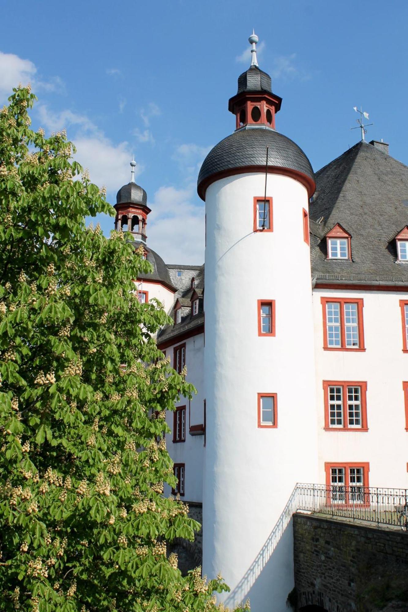 Ferienwohnung Auf Der Moselhoehe - Naehe Koblenz Und Cochem Dieblich Eksteriør billede