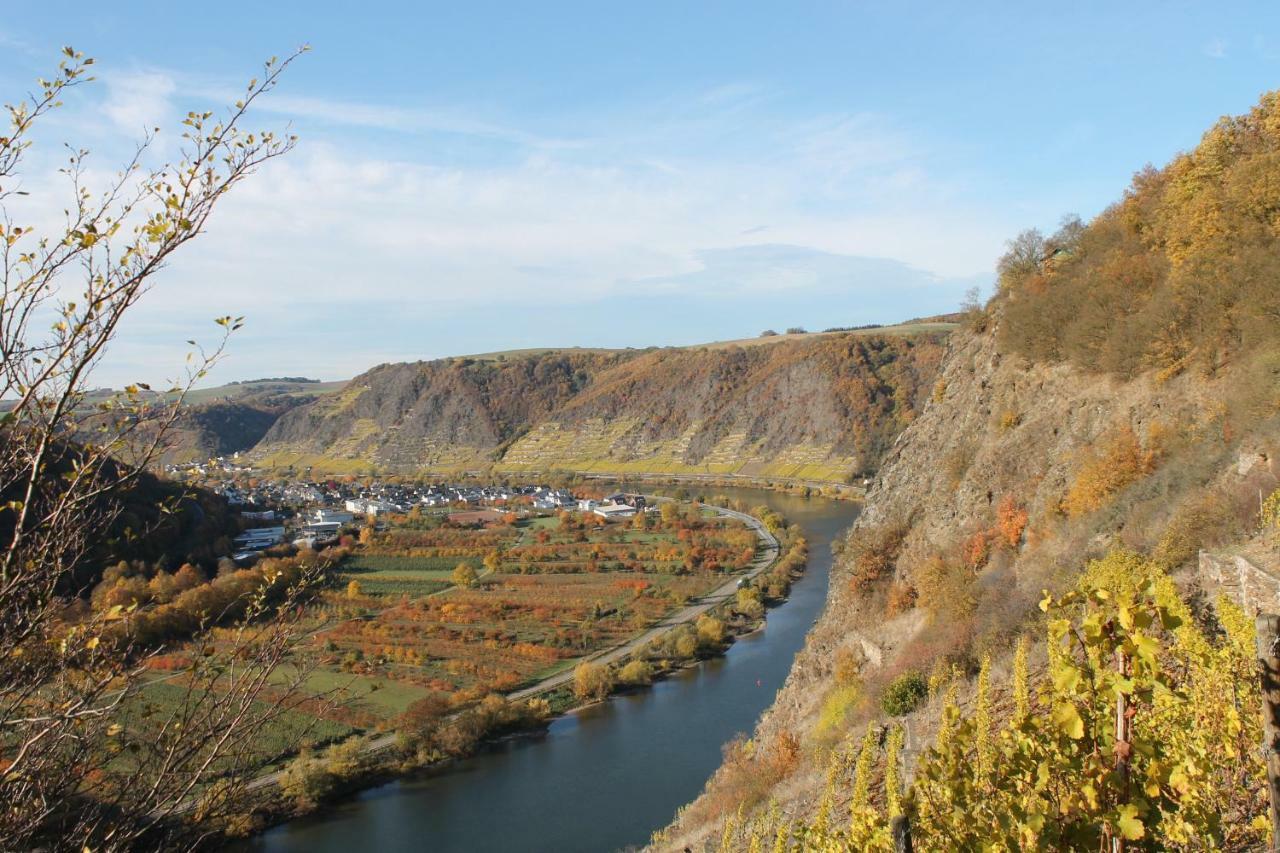 Ferienwohnung Auf Der Moselhoehe - Naehe Koblenz Und Cochem Dieblich Eksteriør billede