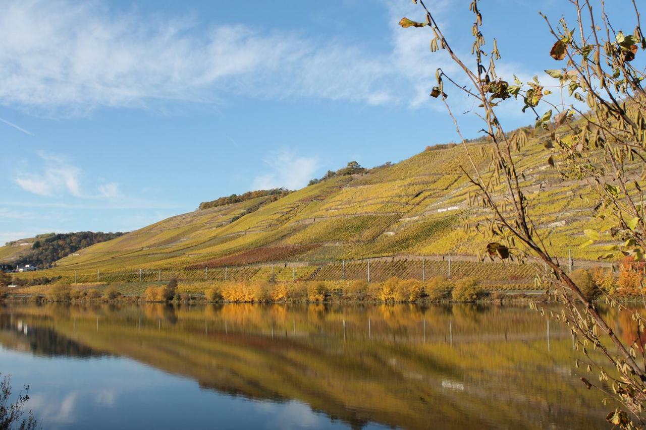 Ferienwohnung Auf Der Moselhoehe - Naehe Koblenz Und Cochem Dieblich Eksteriør billede