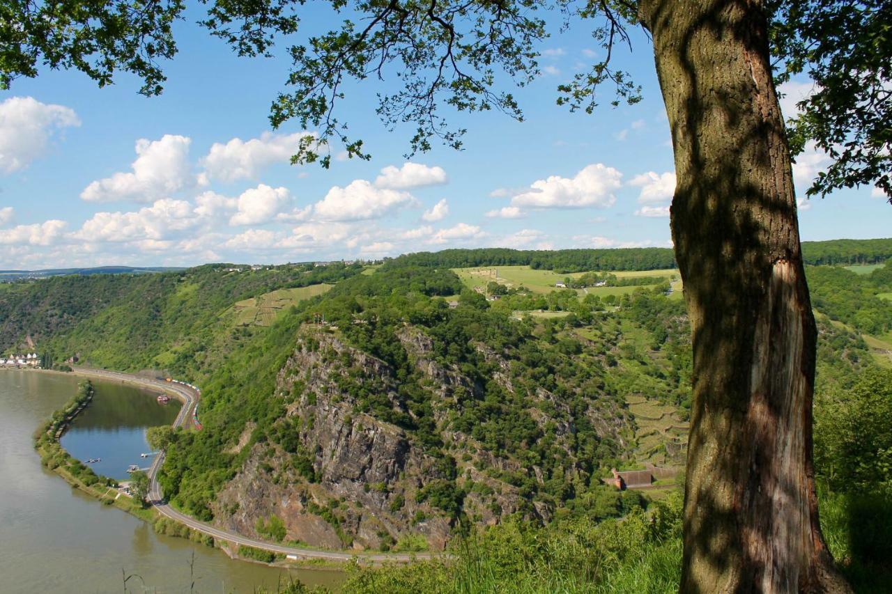 Ferienwohnung Auf Der Moselhoehe - Naehe Koblenz Und Cochem Dieblich Eksteriør billede